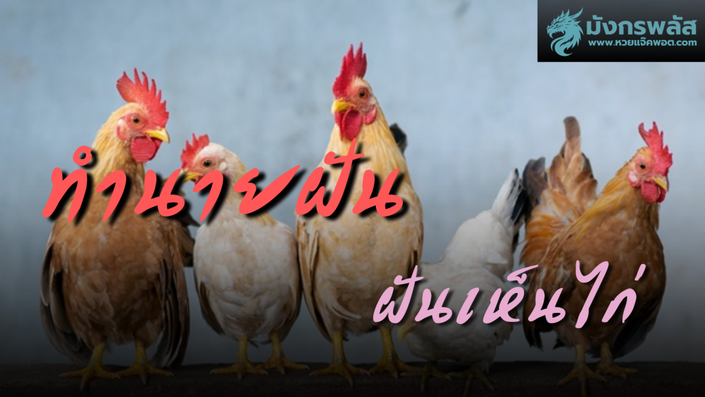 ฝันเห็นไก่